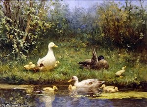 Ducks On A Riverbank