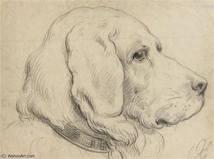 Study Of A Dog — Otto Eerelman