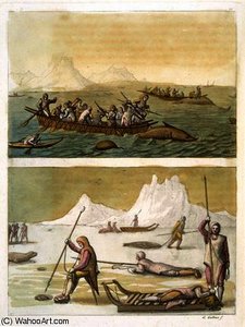 Whale Fishing And Seal Hunting — Gallo Gallina