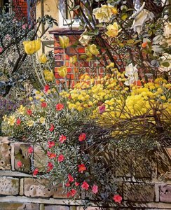 Rock Roses. Old Lodge. Taplow — Sir Stanley Spencer