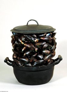 Casserole And Closed Mussels — Marcel Broodthaers