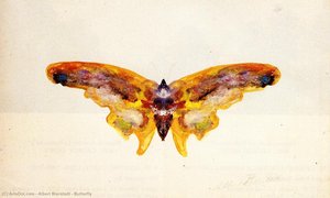 Butterfly — Albert Bierstadt