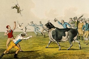 Bull Baiting — Henry Thomas Alken