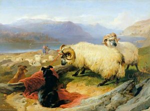 Tethered Rams — Sir Edwin Henry Landseer
