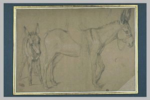 Ane Suivi D'un Ânon — Charles Le Brun