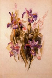 Delphinium — Charles Demuth
