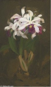Oriental Lilies — James Stuart Park