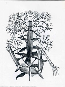 Illustration to "A Week of Kindness"