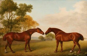 Two Horses In A Paddock — George Stubbs