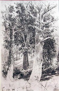 Etude — Ivan Ivanovich Shishkin