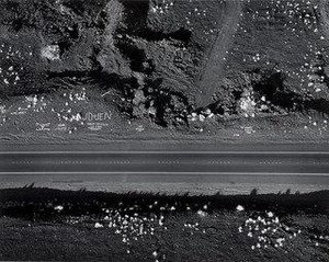 Coral Graffiti, Hawaii — Marilyn Bridges