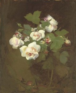Pink Roses - — James Stuart Park