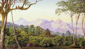 Blick Auf Die Cathedral Rocks Von Mattaran, Indien — Marianne North, Viktorianische Botanische Malerei
