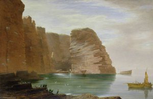 Island Of Handa, West Coast Of Sutherland — James Giles