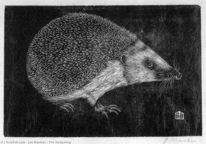 The Hedgehog