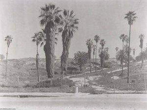 Vista Del Mar (la9) — Madoka Takagi