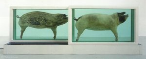 Piggy — Damien Hirst