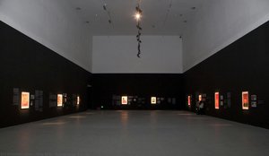 Exhibition Scene — Zhu Vej