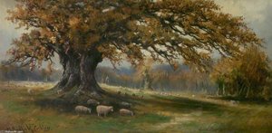 Autumn, Albury Park, Surrey