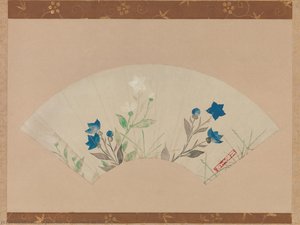 Chinese Bellflowers