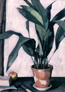 Aspidistra — Сэмюэл Джон Пиллой