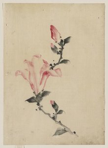 Large Pink Blossom On A Stem With Three Additional Buds — Katsushika Hokusai, Japanese Ukiyo-e