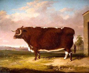 Longhorn Cow — Thomas Walker Bretland