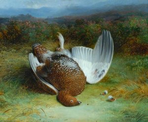 Dead Grouse — Abel Hold