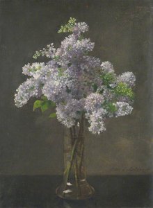 Lilac — Otto Scholderer