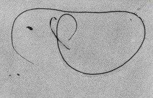 Martha's Vineyard 10 — Aaron Siskind