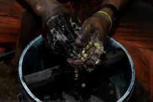 Natural Gum Made From The Gulabere — Fidel Ugarte, Contemporary Photography