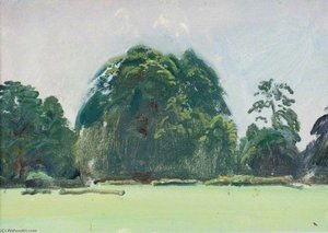 A Landscape with Trees by a Field