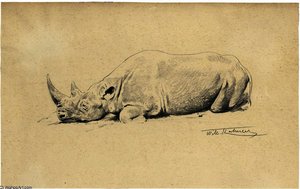 Ruhendes Nashorn — Friedrich Wilhelm Kuhnert