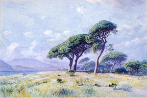 Cannes — William Stanley Haseltine