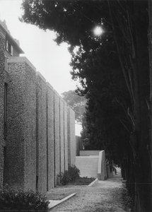 North Part Of Cypress Alley, Looking To The South — Michel Marot