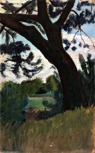 Landscape With Pine — Paula Modersohn-becker