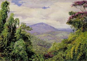 View Of The Piedade Mountains From Congo, Brazil — Marianne North, Victorian Botanical Painting