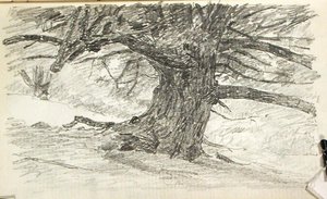 Tree Trunk — John Ottis Adams