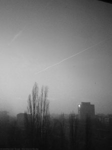 One Trace In The Sky — Alfred Freddy Krupa
