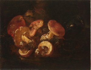Mushrooms And Pigeons — Felice Boselli