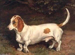 A Favourite Dachshund — Frank Paton