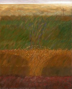 A Sign In The Landscape (borth Bog) — Alistair Crawford