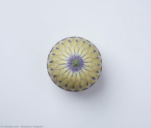 Untitled (D699DV)