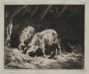 Two Porcs — Charles-émile Jacque