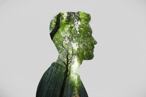 The Verdant Mind: An Echo of Silvan Thought