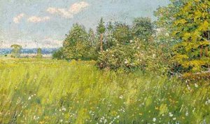 Summer Meadow — David Davidovich Burliuk, Impressionism