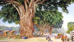 The Great Square Of Malang, Java — Marianne North