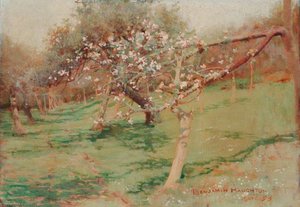 Trees In Blossom — Benjamin Haughton