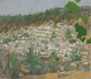 The Hill Opposite — Roger De Grey