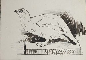 Sketche Of Bird — Archibald Thorburn